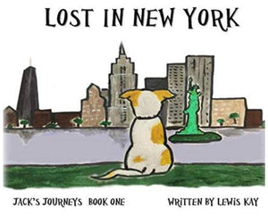 Author: Lewis Kay,  'Jack’s Journeys' -  Book 1, 'Lost in New York'