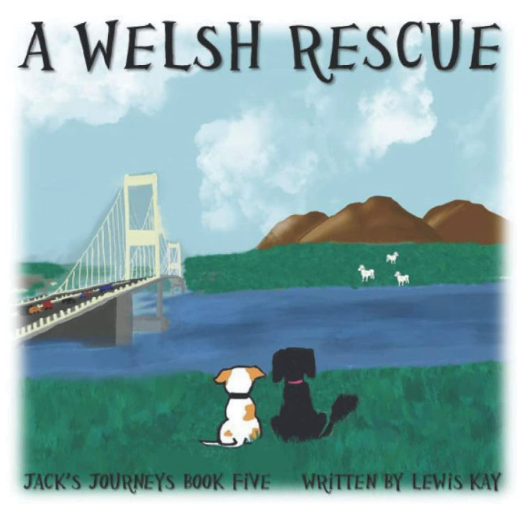 Author, Lewis Kay: 'A Welsh Rescue' – Book Five