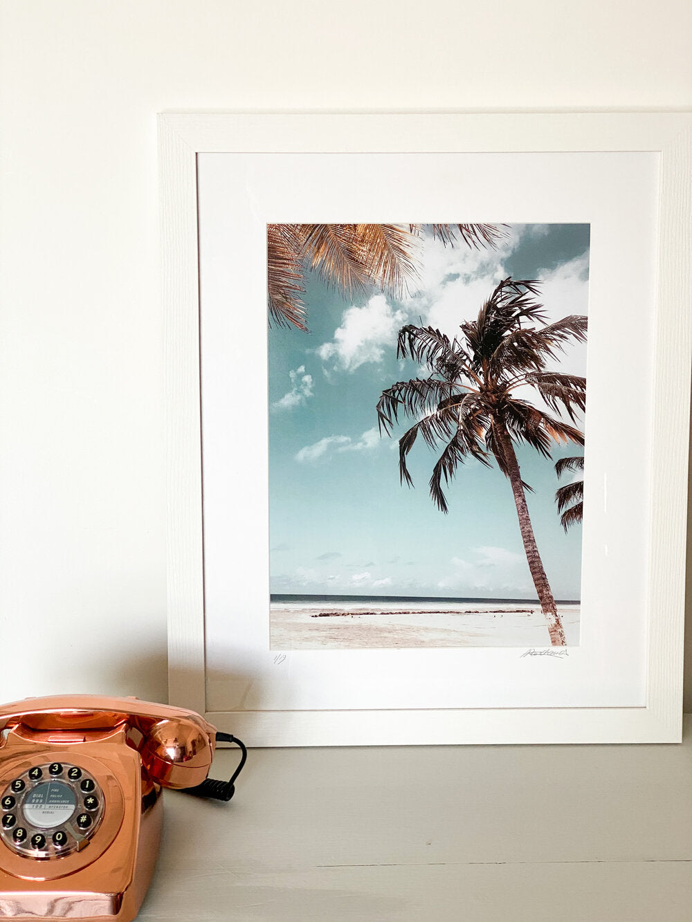 the crew market tara panchaud palm tree photography print beach